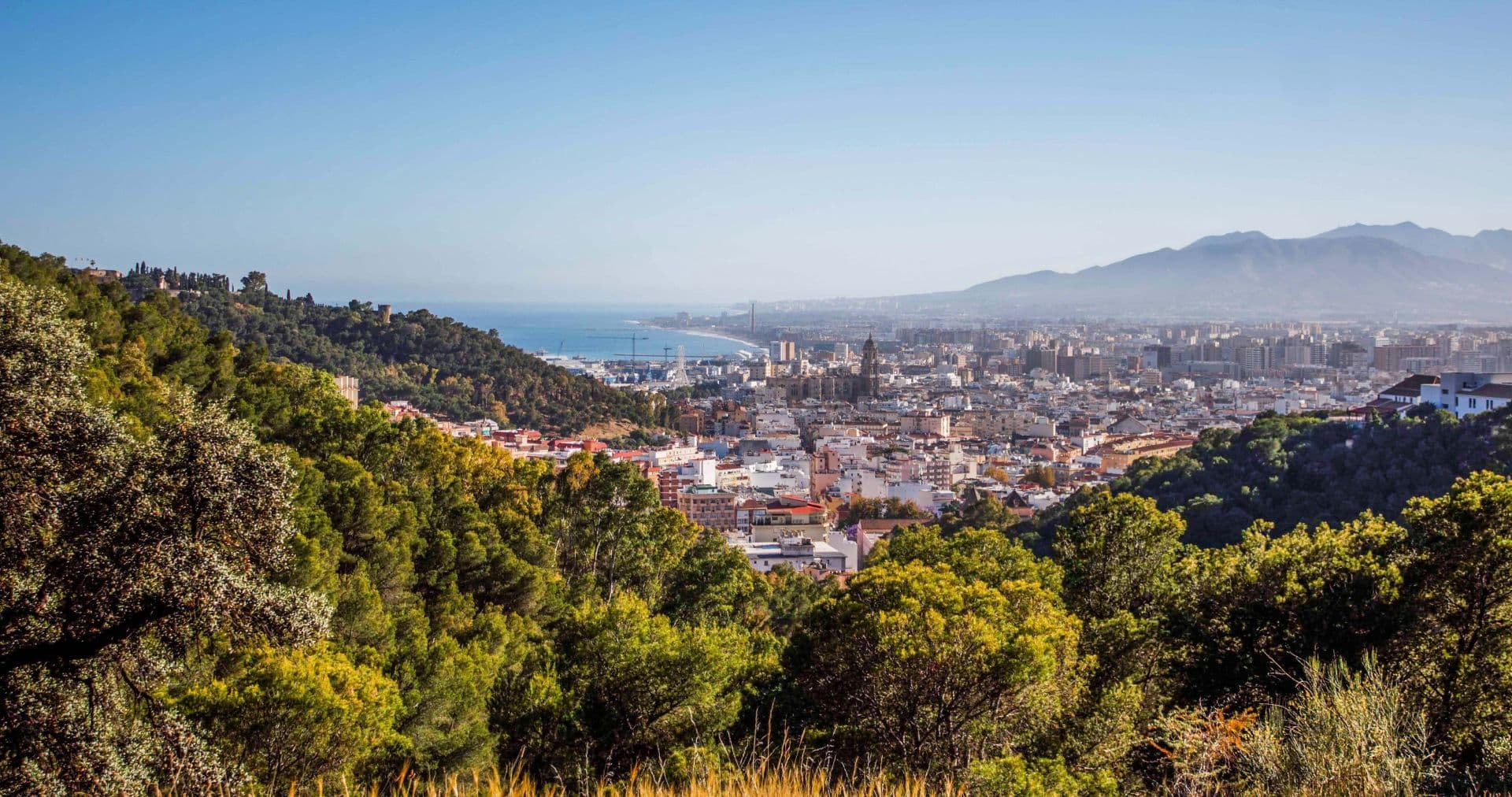 Málaga Weingüter und Weinroute