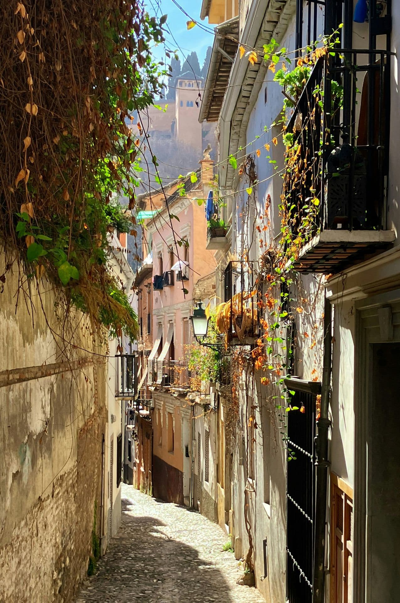 Bild 5 aus der Granada und die Alhambra-Galerie