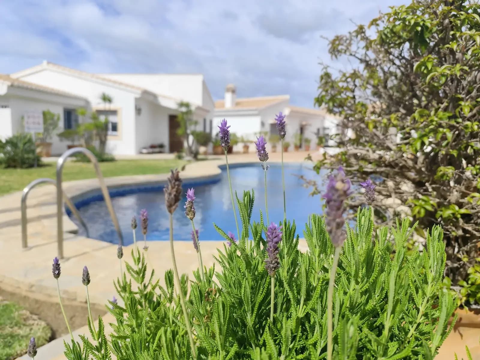 El Tomillar House