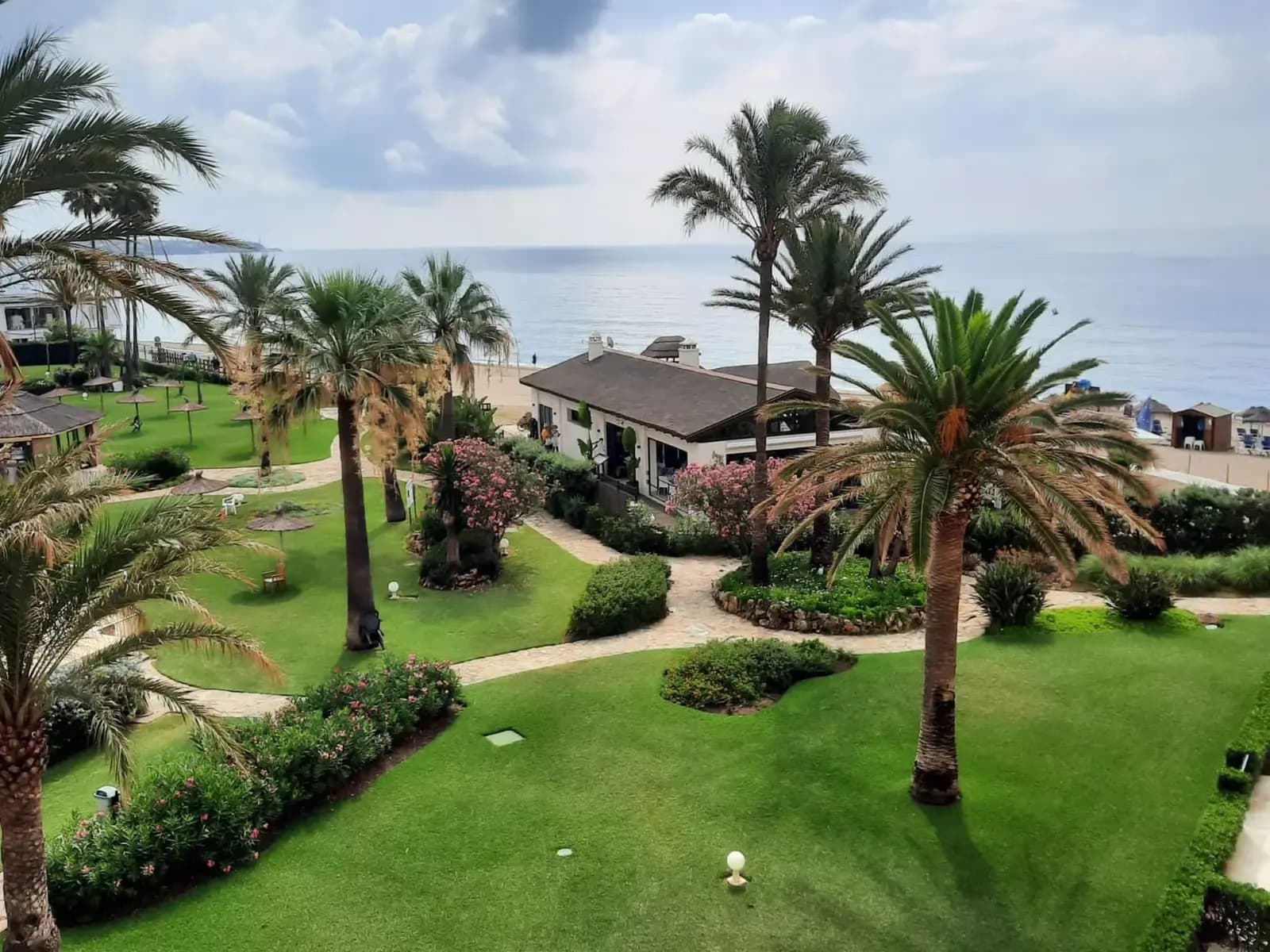 Mimosas Paradise